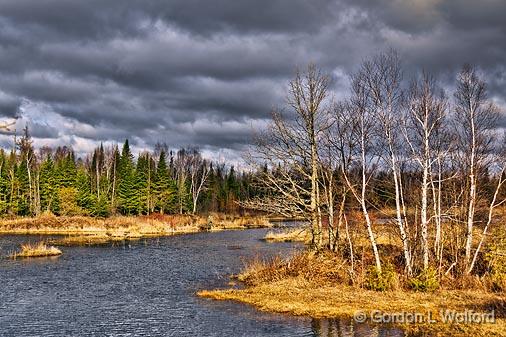 Early Spring Creek_08722.jpg - Photographed near Lombardy, Ontario, Canada.